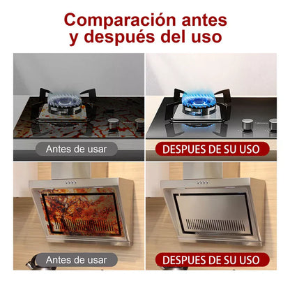 Limpiador de Vapor Portátil + Cera Premium Protectora