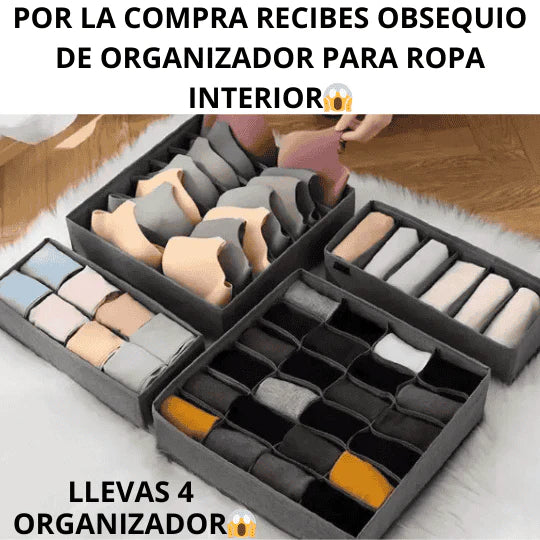 Closed de 3 Puertas + Organizador de Ropa colgante